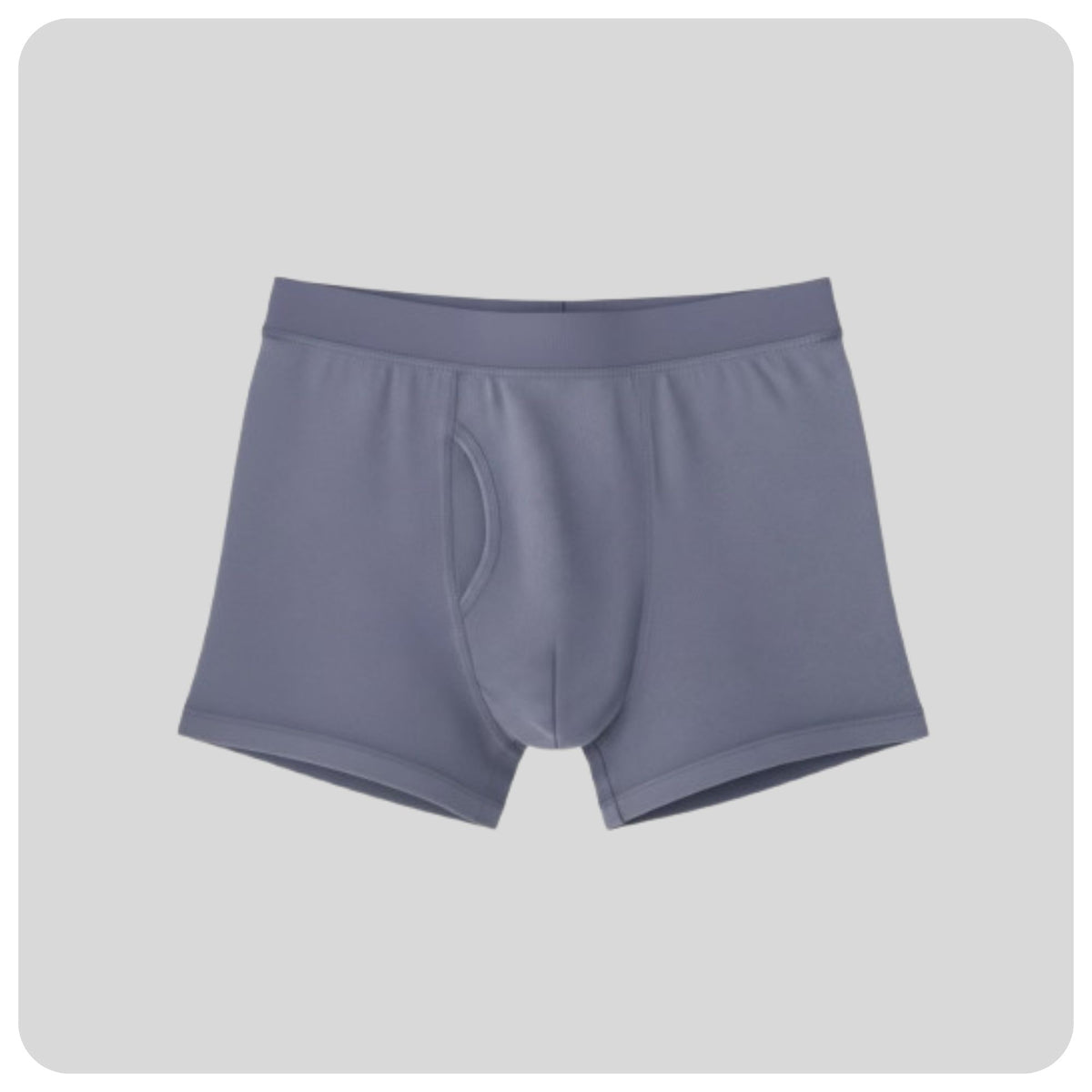 Boxer